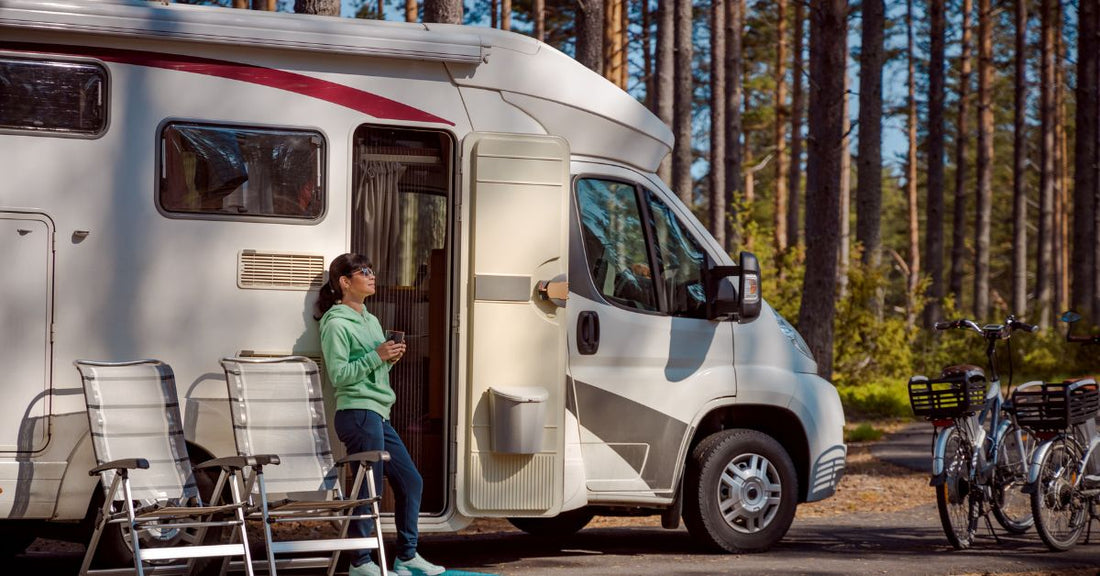 8 Signs of a Pest Infestation in Your RV